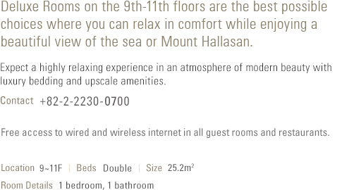 About Deluxe Room (see below)