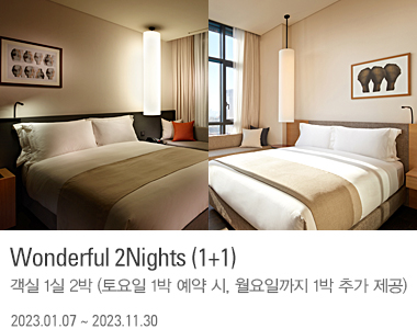 Wonderful 2Nights (1+1)