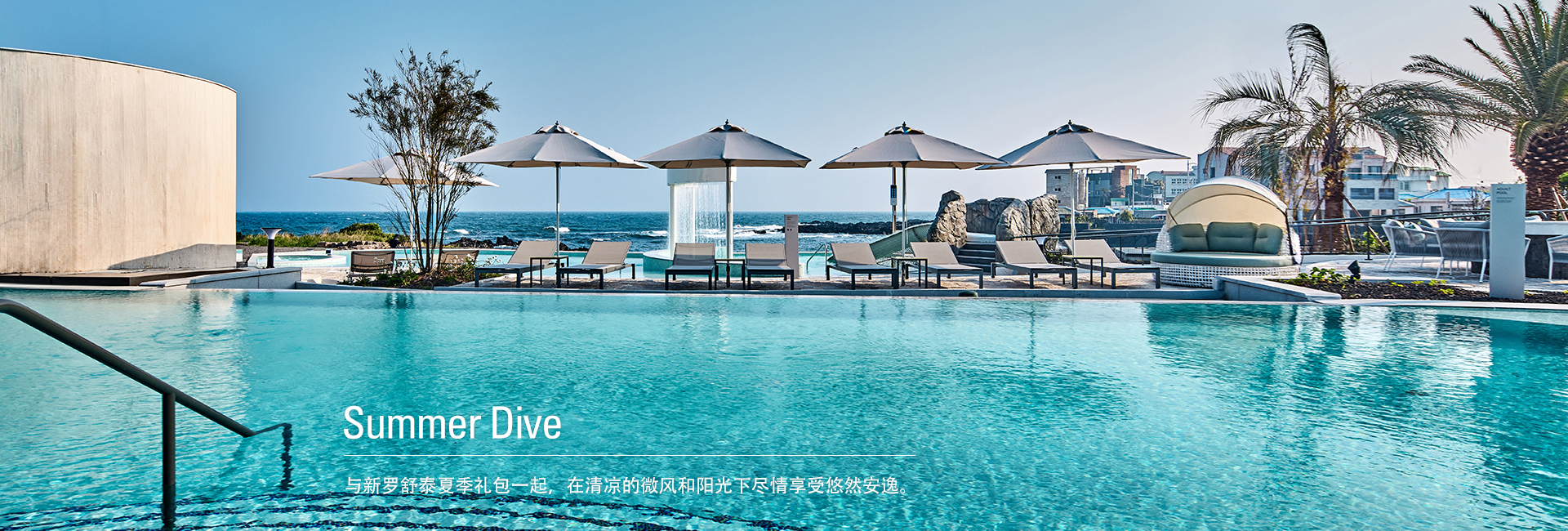 Summer Dive 