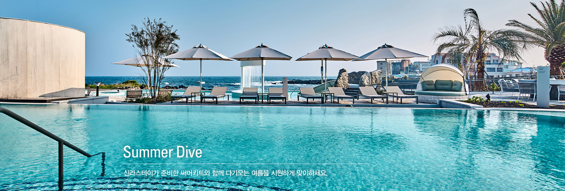 Summer Dive