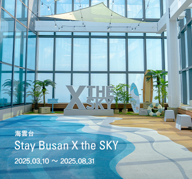 Stay Busan X the SKY