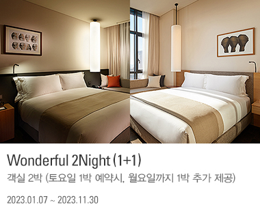 Wonderful 2Night (1+1)
