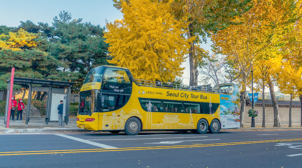 [광화문] 서울시티투어버스