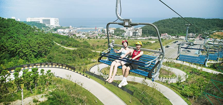 Stay x Skyline Luge