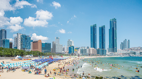 이벤트 사진